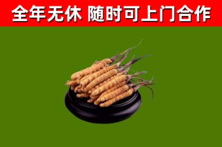 忻州回收冬虫夏草